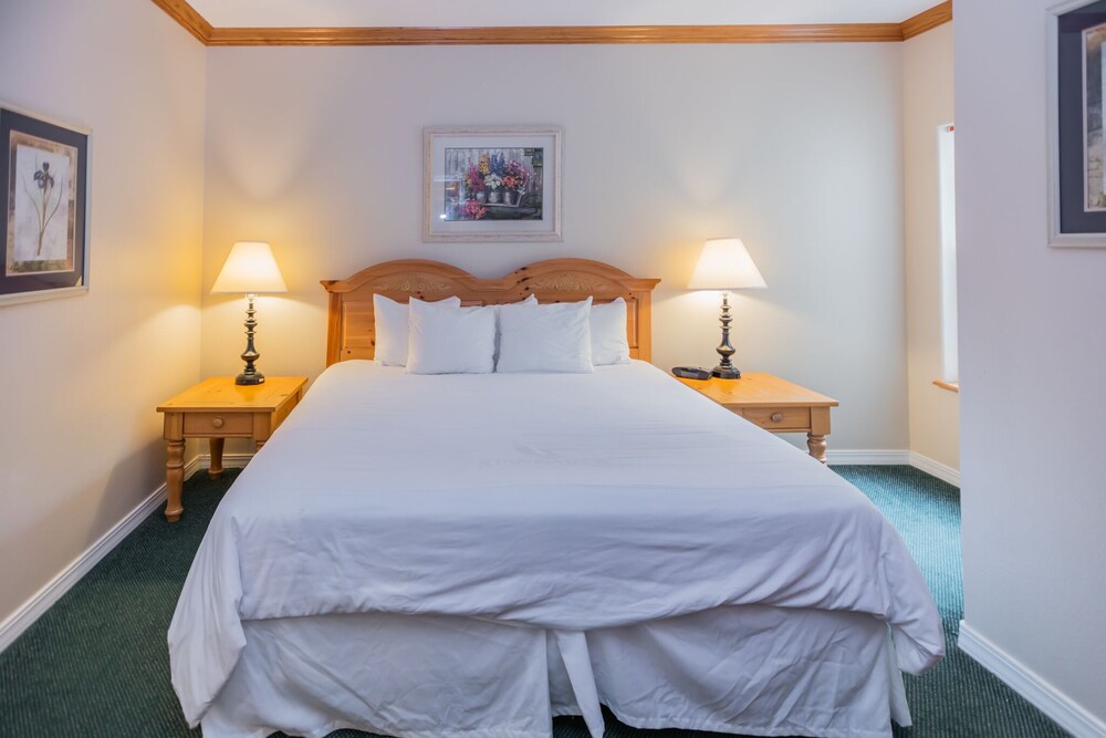 Palace View Resorts by VectorStays - photo 5