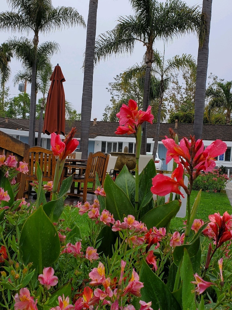 Marina Beach Motel - photo 110