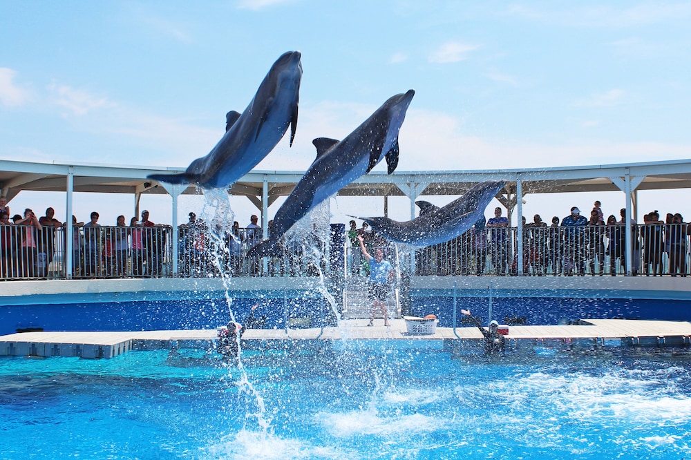 Holiday Inn Resort Fort Walton Beach by IHG - photo 116