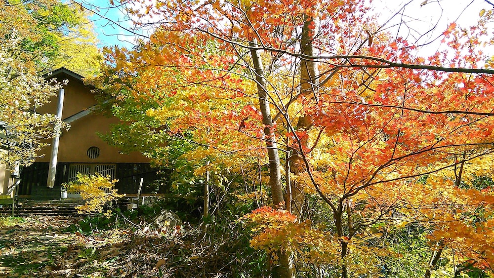 Nurukawa Onsen Hotel — hotel in Hirakawa