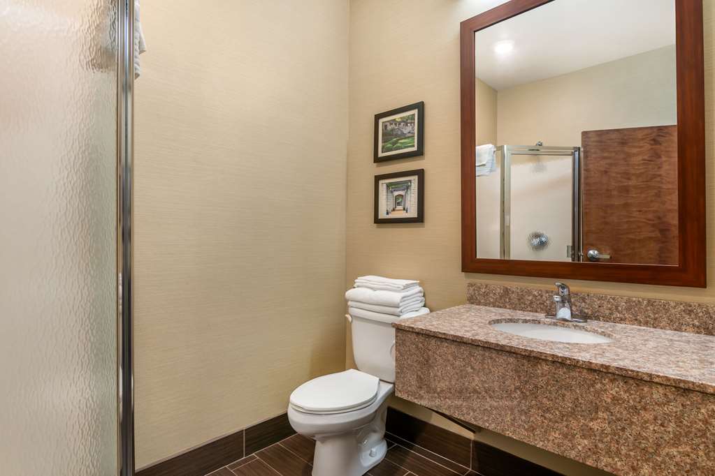 Comfort Suites Jefferson City - photo 6