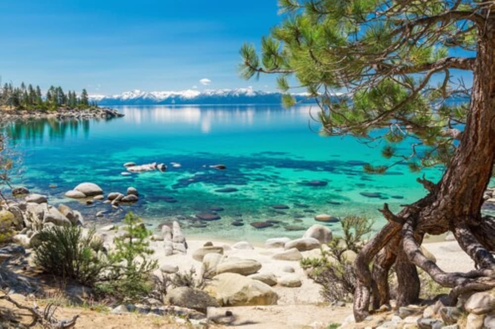 Quality Inn South Lake Tahoe - photo 50