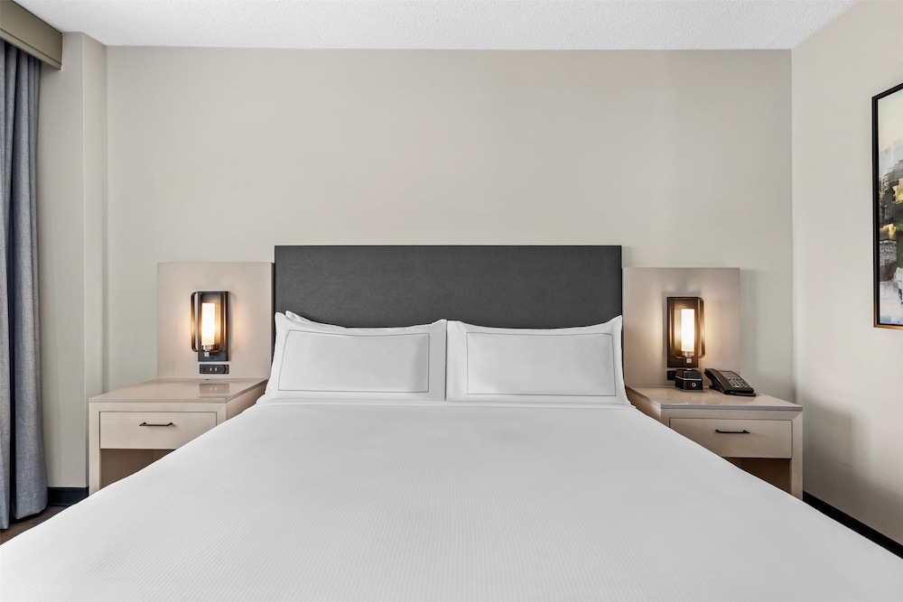 DoubleTree Suites by Hilton Raleigh Durham - photo 12