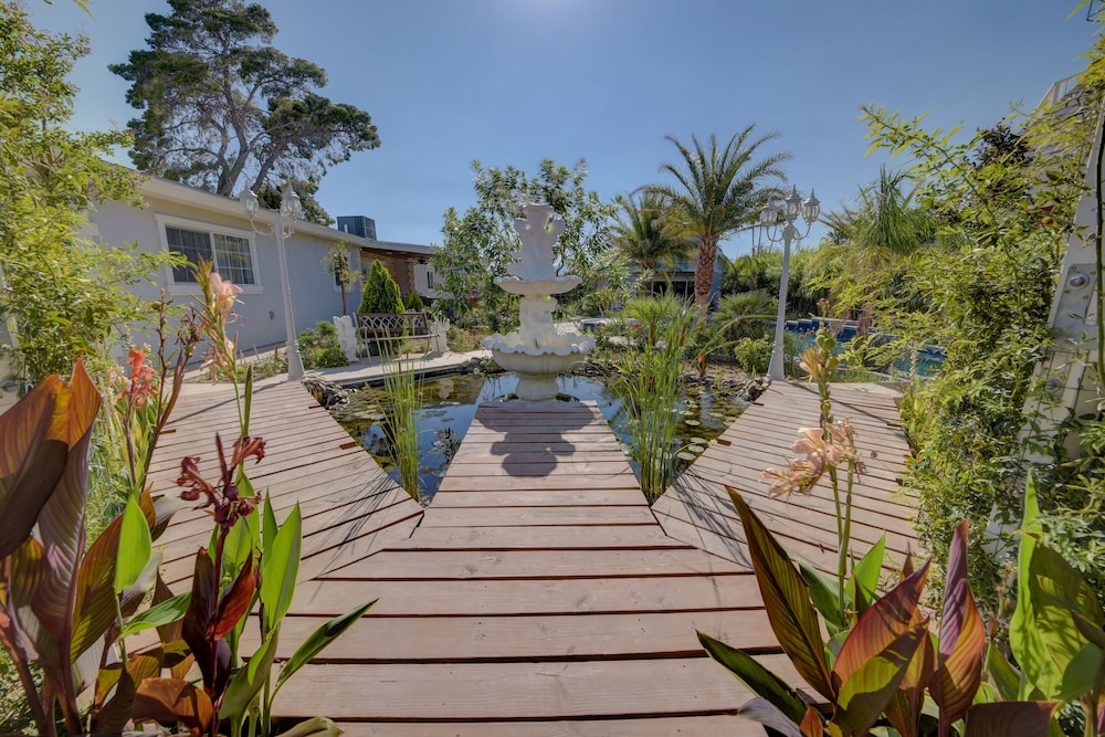 Sanctuary Pond and Pool - photo 29