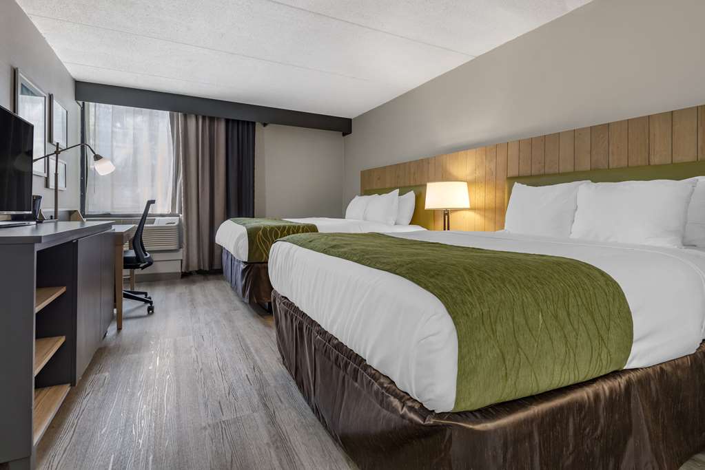 Comfort Inn & Suites Liverpool Syracuse North - photo 15