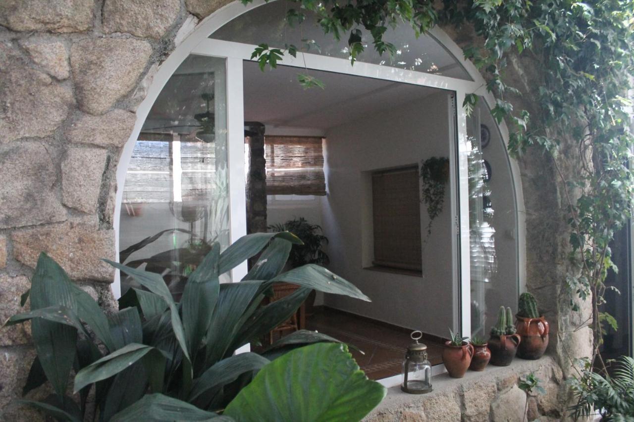 Hedera in Candeleda, Spain