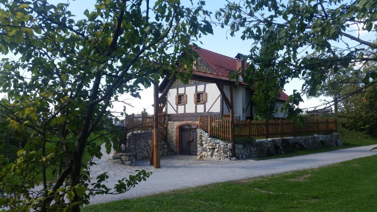 Domus Antiqua pet-friendly hotel Donja Voca