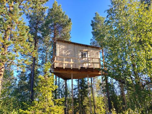 Aurora Lodge 19754232 — Arvidsjaur