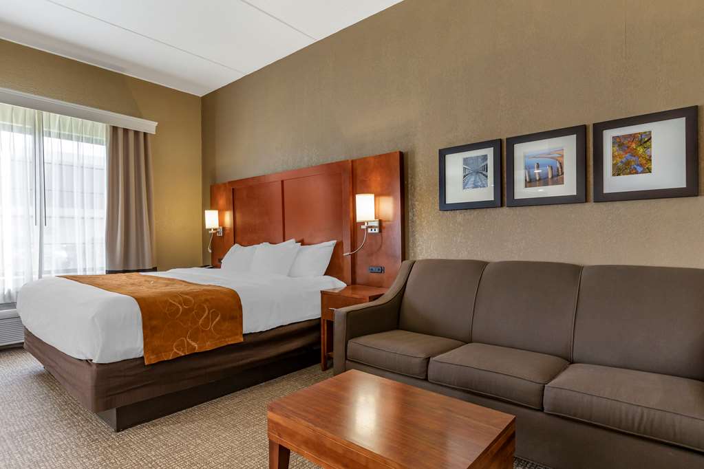 Comfort Suites Grand Rapids South - photo 10
