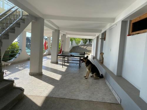 Green Cape Holiday Home