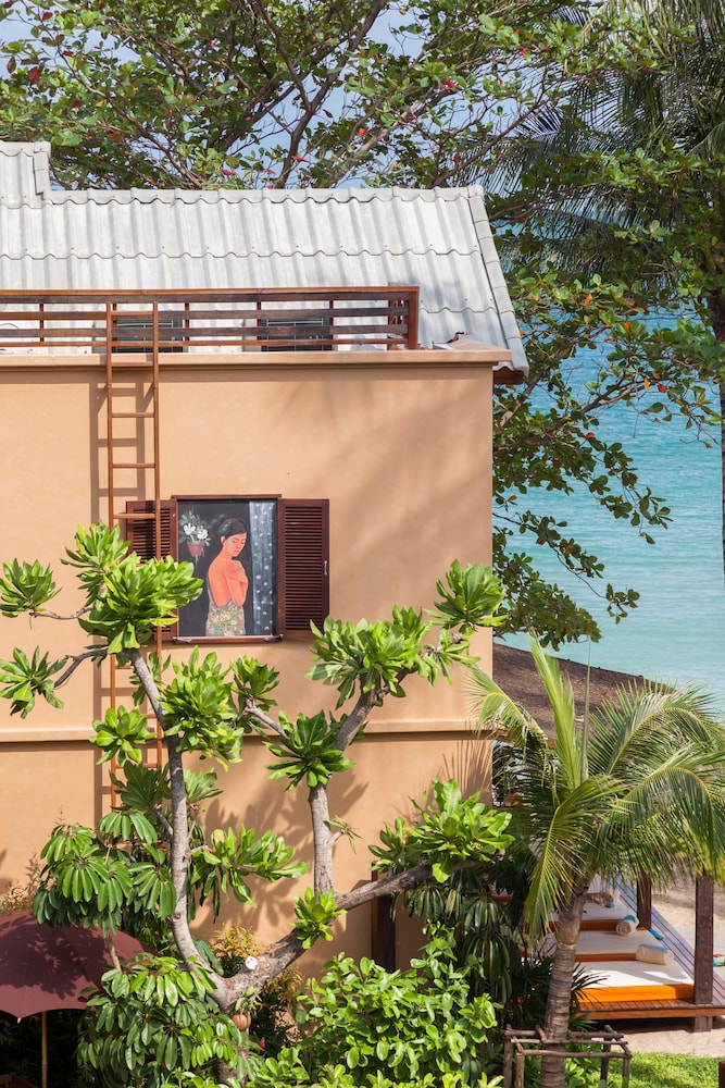 מראה חיצוני