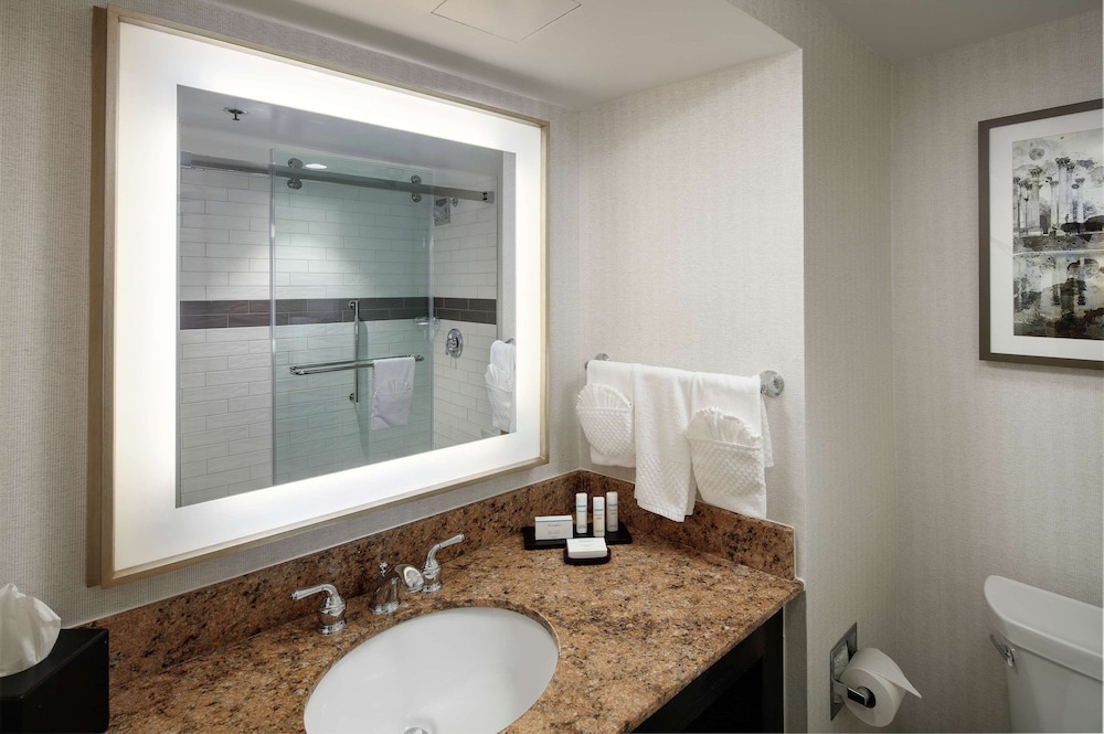 Embassy Suites by Hilton Tysons Corner - photo 16