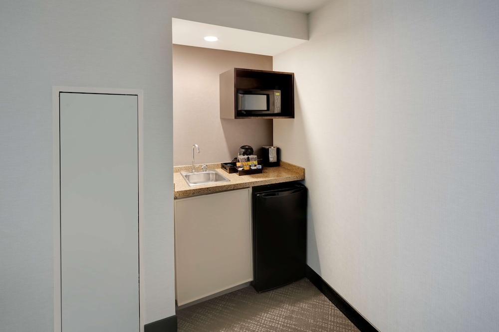 Embassy Suites by Hilton Detroit Troy Auburn Hills - photo 22