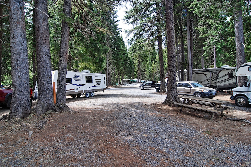 Shelter Cove Resort and Marina - photo 143