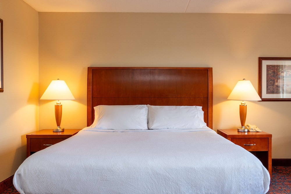 Hilton Garden Inn Manchester Downtown - photo 17