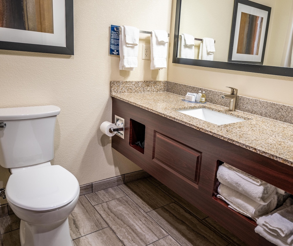 Cobblestone Hotel & Suites Lamar - photo 58