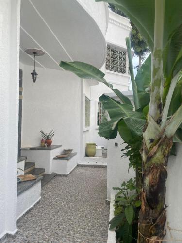 Syrah Home — 4-Star Luxury Hotel in Tangier, Morocco