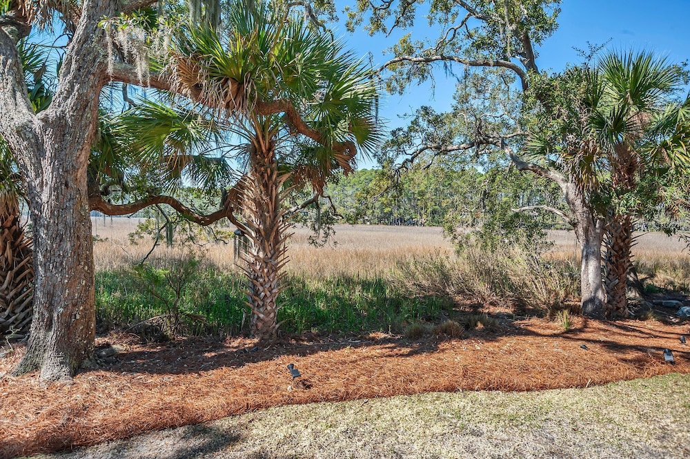 43 Stoney Creek at The Sea Pines Resort - photo 33