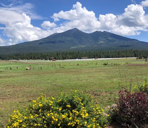 Change of Altitude 7320 in Flagstaff, United States