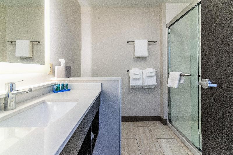 Holiday Inn Express & Suites Allen Park by IHG - photo 24