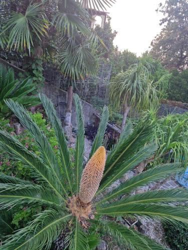 Lodge Rosa — Agropoli — photo 2