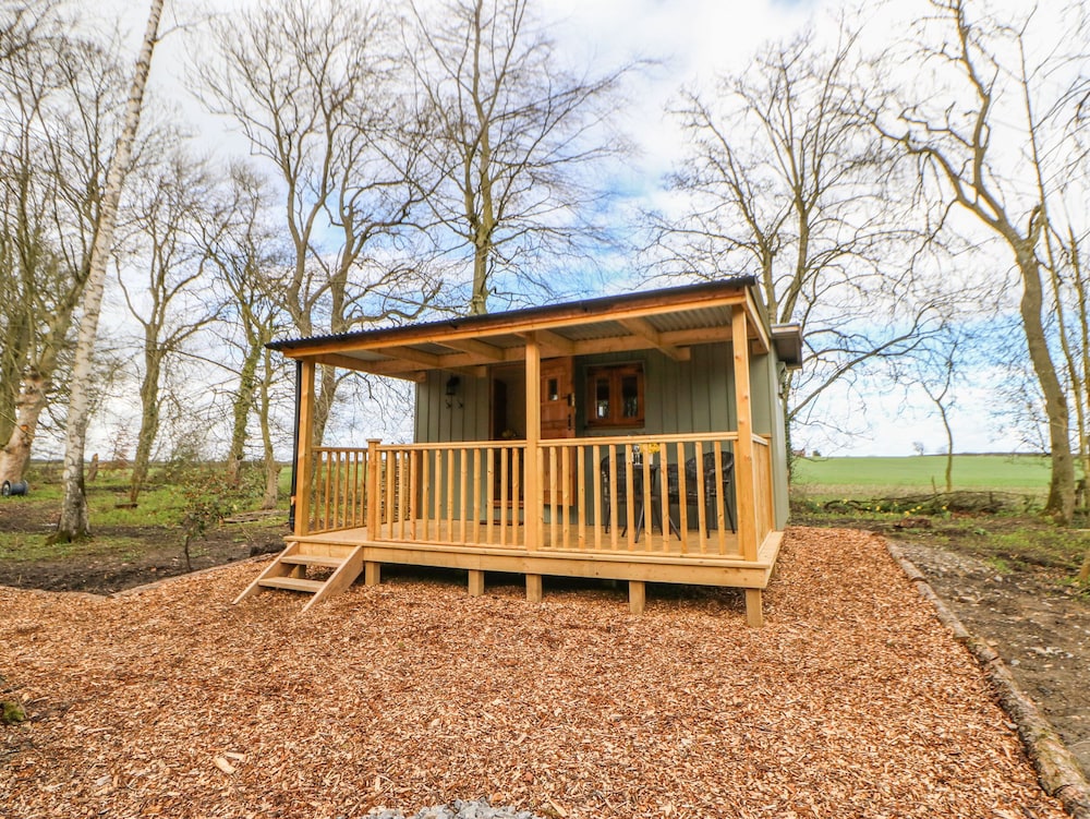 Bracken Fern in Richmond, United Kingdom
