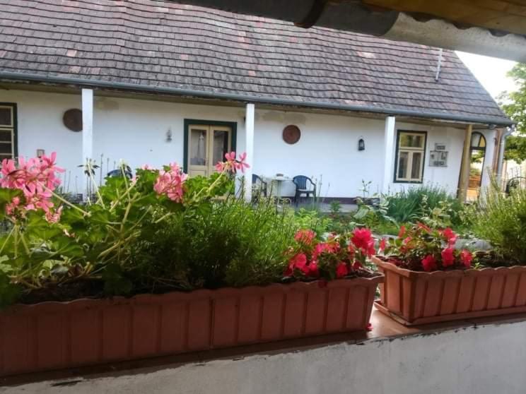 Teréz Háza — hotel in Pazmand