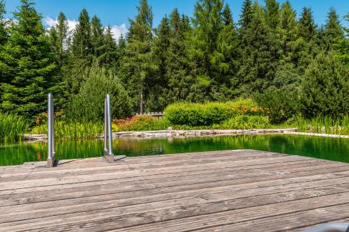 Chalet Dachsteinblick — Pruggern — photo 4