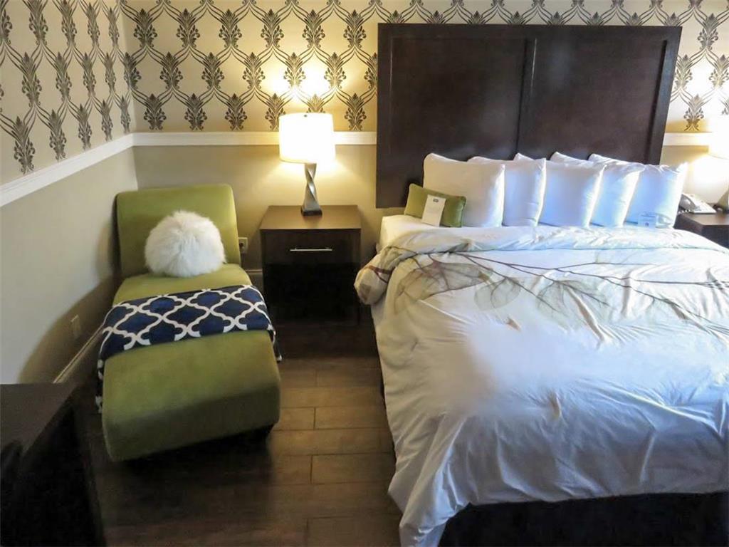 Rodeway Inn Logan International Airport - photo 9