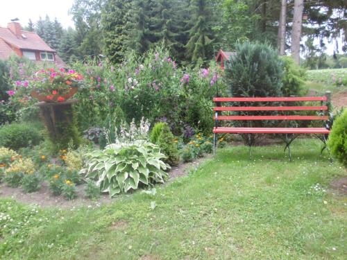 Hintze — Soltau — photo 2