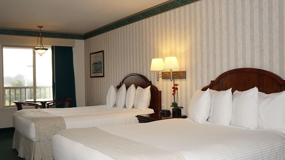 Emerald Dolphin Inn & Mini Golf - photo 10