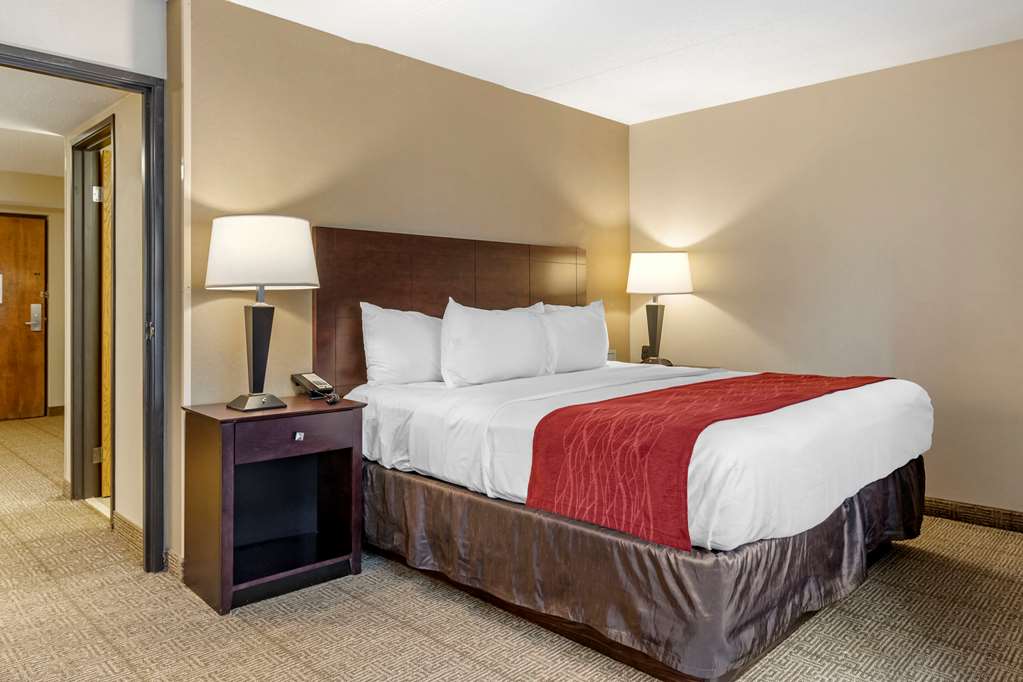 Comfort Inn Lansing West - photo 34