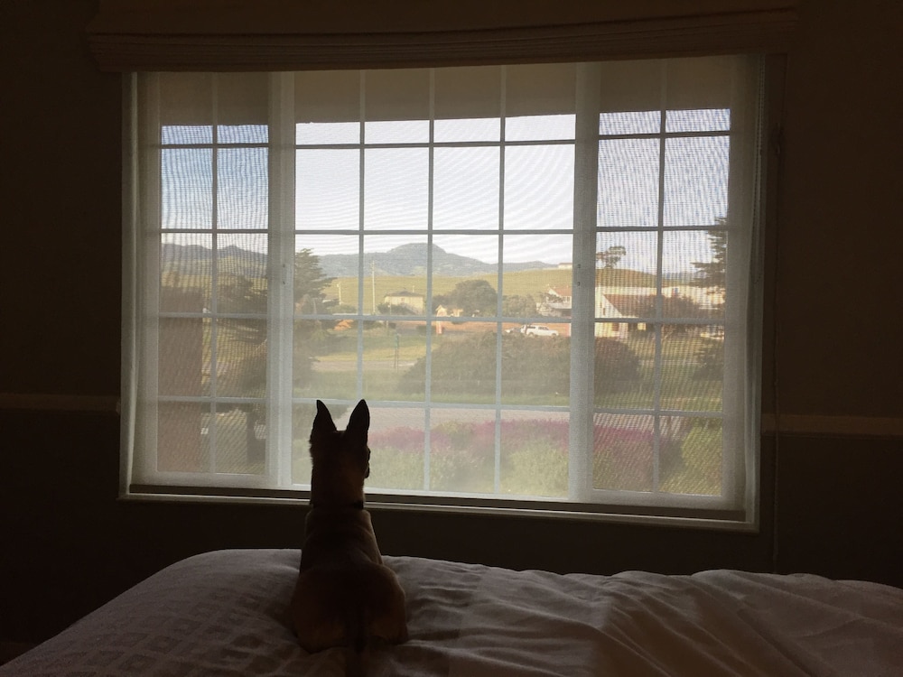 The Morgan Hotel San Simeon - photo 30