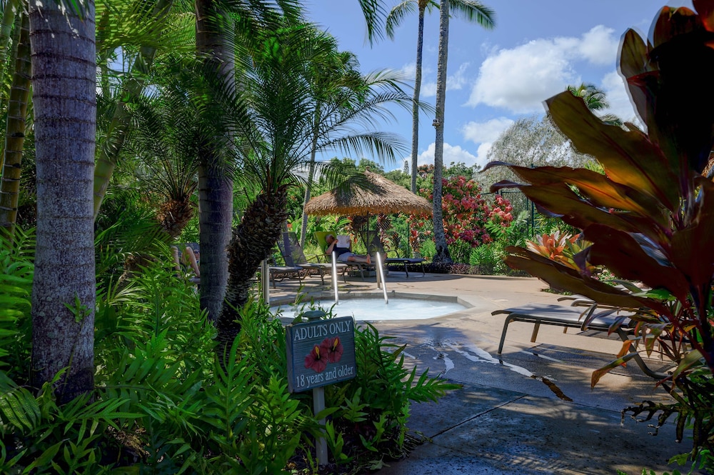 Newly Remodeled Cliffs Resort in Princeville condo - photo 34