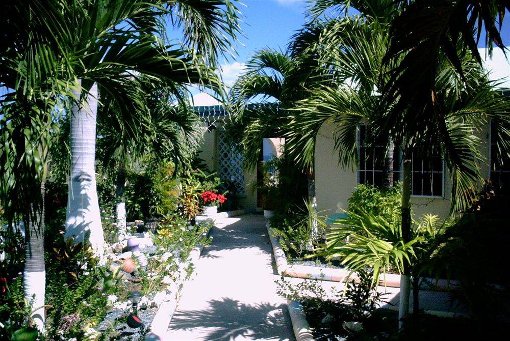 The View — hotel in Saint Croix