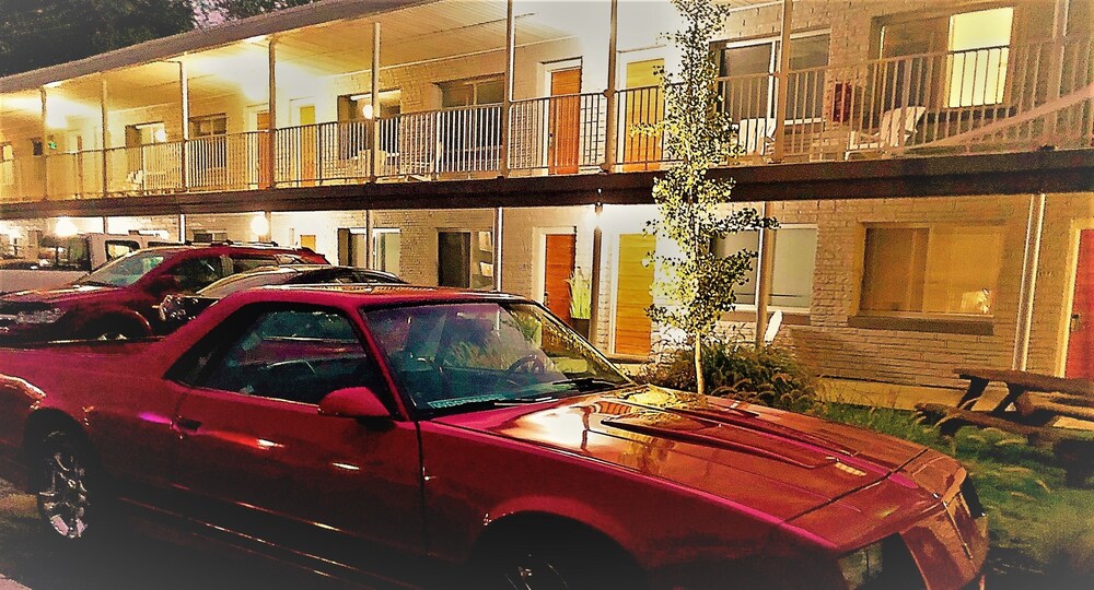 Hotel Royal Oak - photo 51