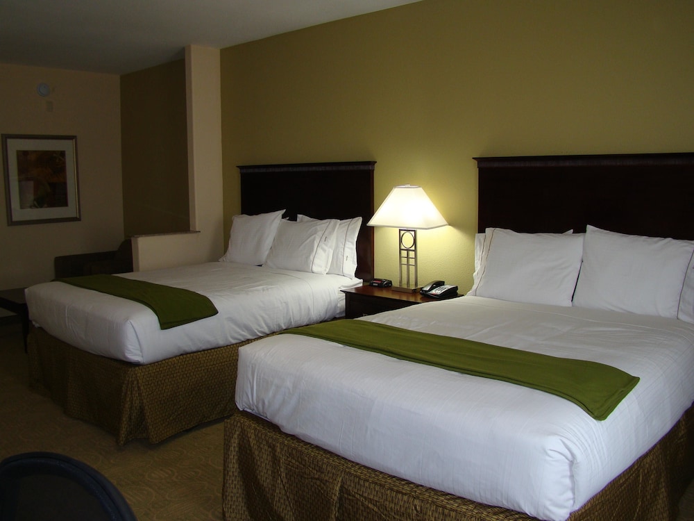 Holiday Inn Express Hotel & Suites Brownfield by IHG - photo 6