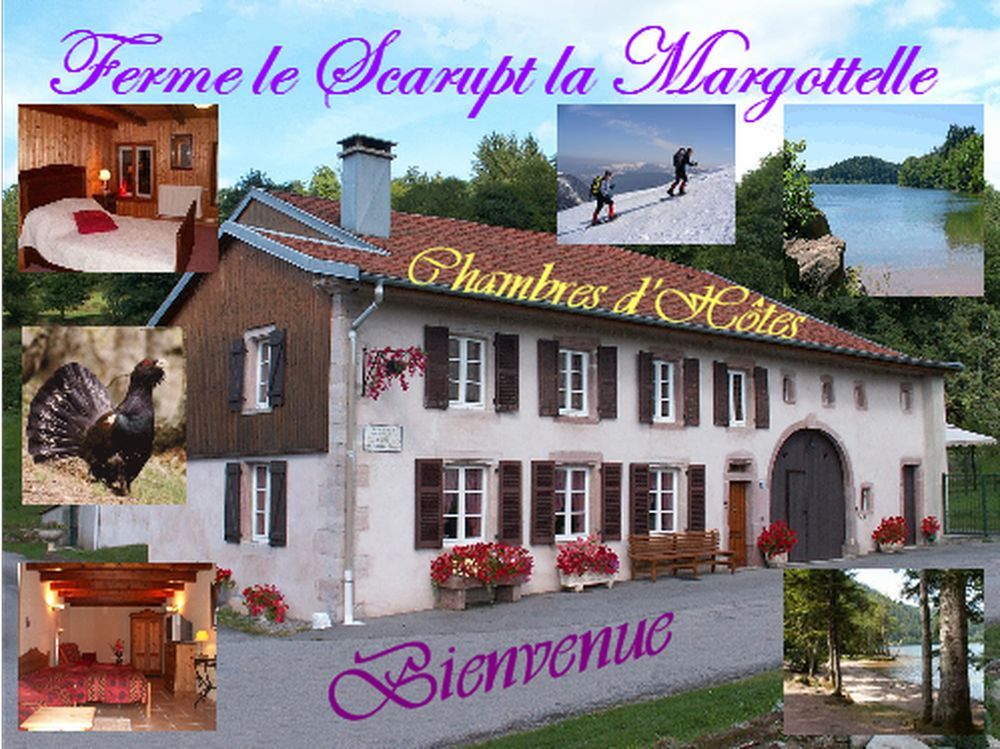Ferme Le Scarupt La Margottelle — Fraize