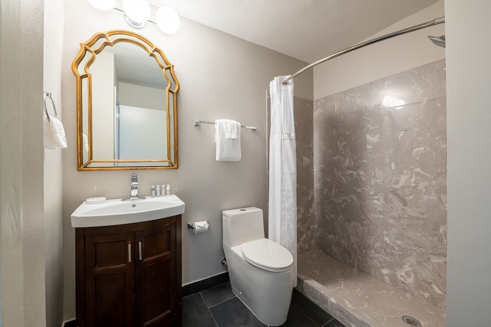 French Quarter Suites Hotel - photo 45