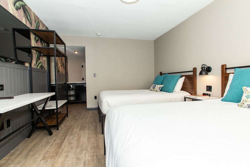 Magnolia Tree Hotel Near Anaheim Convention Center - photo 8