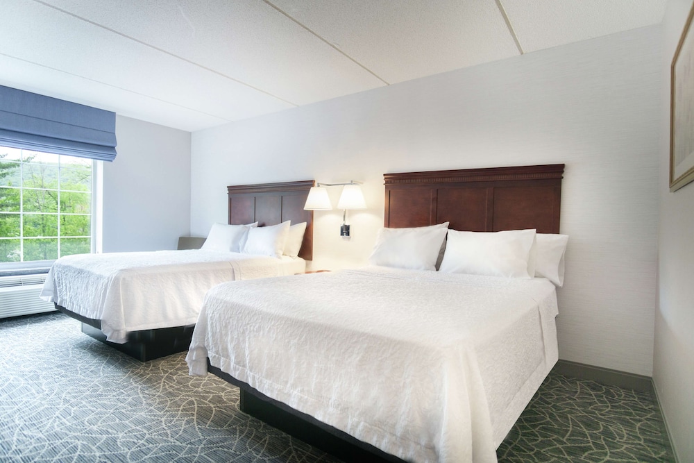 Hampton Inn & Suites Berkshires Lenox - photo 14