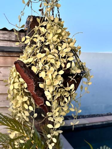 Ti Kaz Fantaisie in Unknown City, Réunion