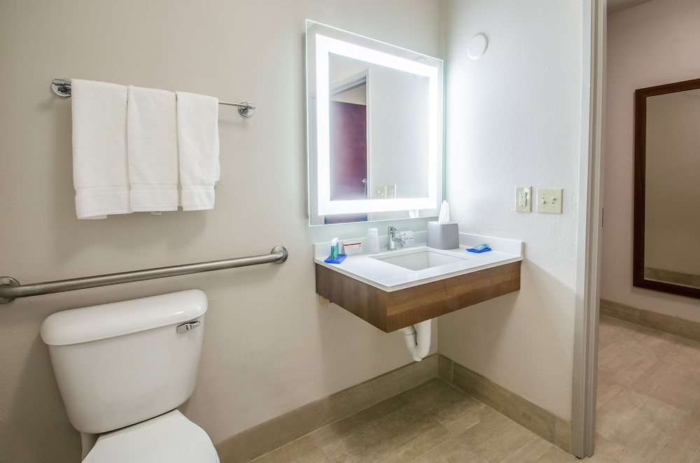 Holiday Inn Express & Suites Olathe South by IHG - photo 15