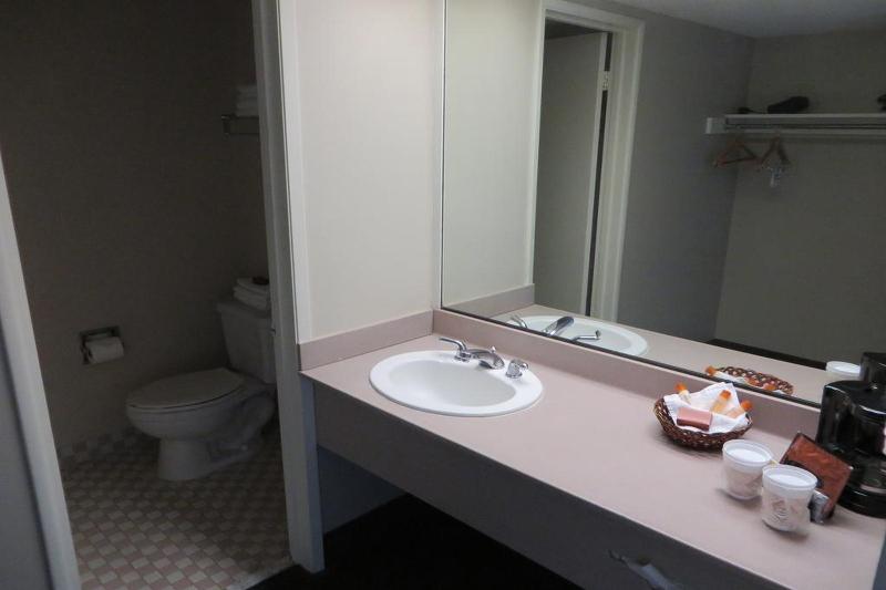 Atrium Hotel at Orange County Airport - photo 13