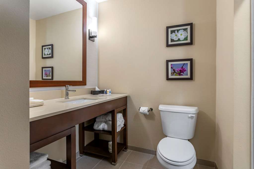 Comfort Inn & Suites Waller - photo 9
