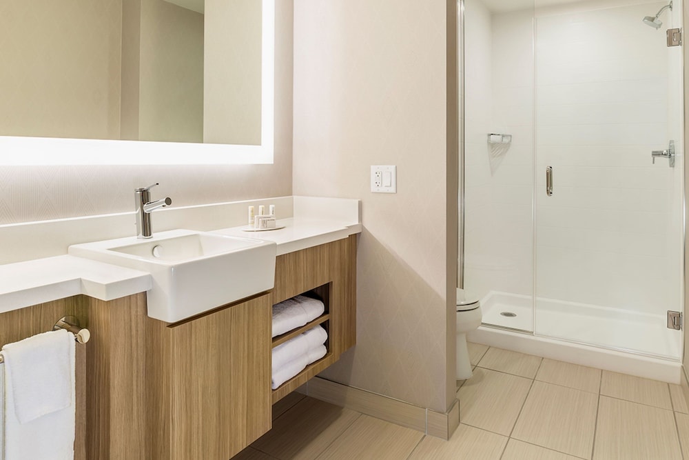 SpringHill Suites by Marriott St. Paul Downtown - photo 10