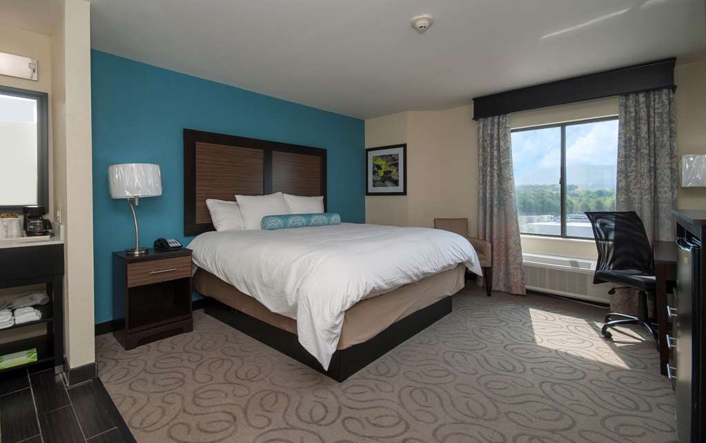Best Western Travelers Rest Greenville - photo 14