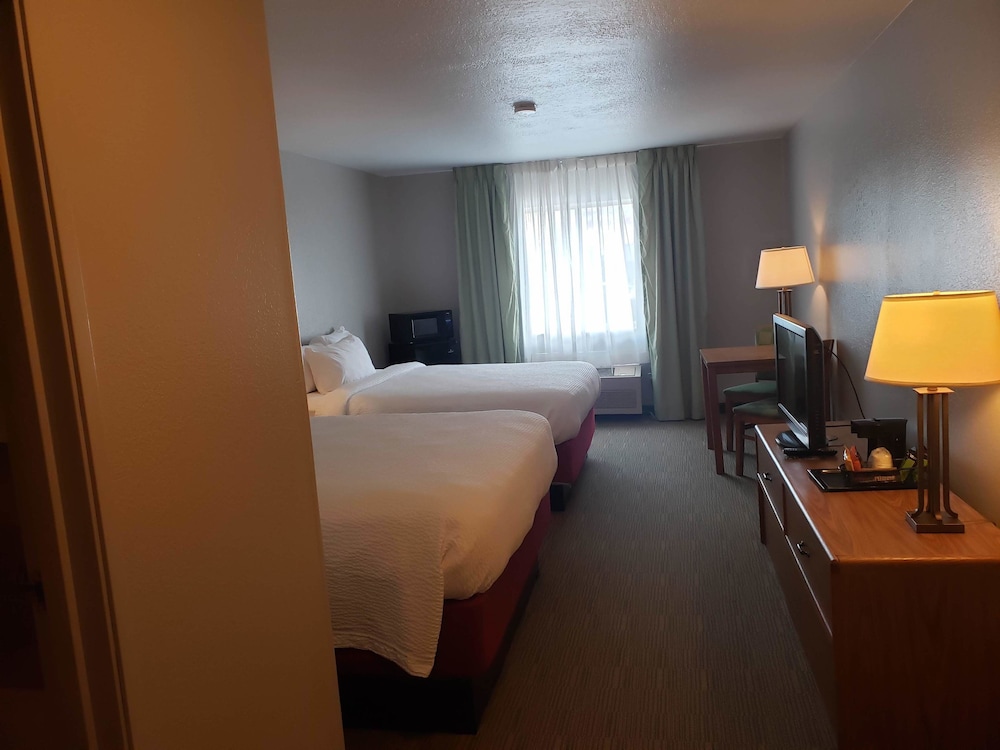 Country Inn & Suites by Radisson Fairview Heights IL - photo 9