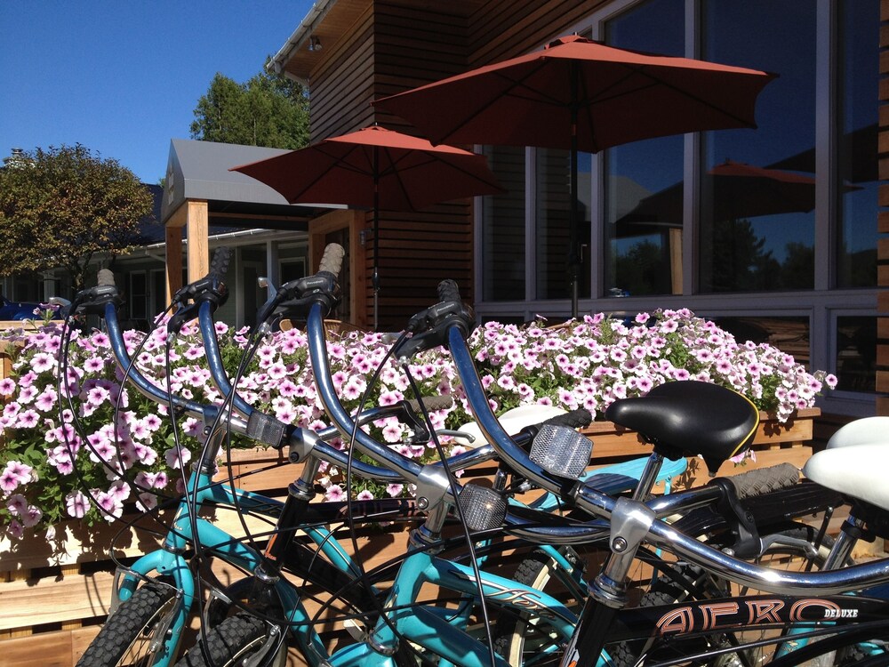The Mountain Road Resort - photo 38