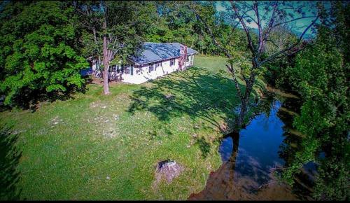 Mountain Stream by RedAwning - photo 31